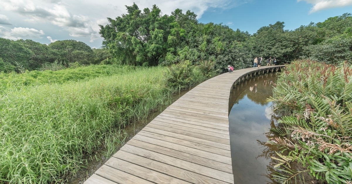 Stroll along the boardwalks of Hong Kong Wetland Park to explore without damaging the ecosystem.