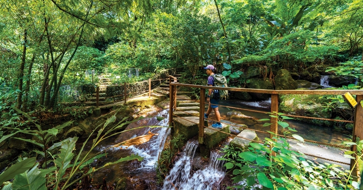 A visitor walks past a waterfall at Kadoorie Farm and Botanic Garden