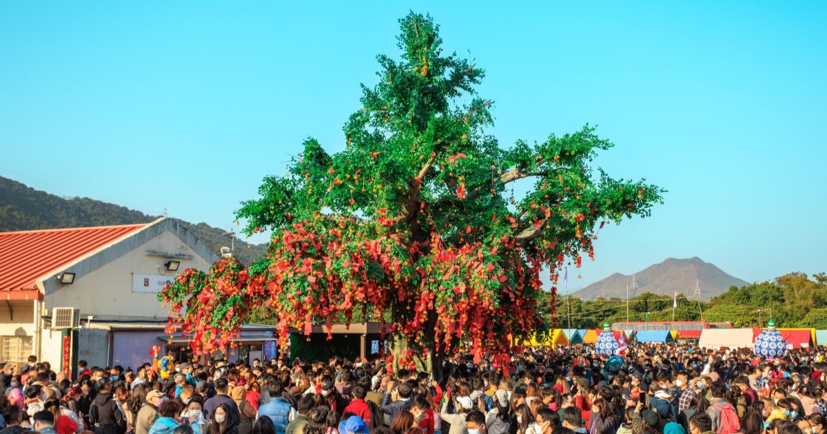 Crowds gather at the Wishing Tree at Lam Tsuen during Chinese New Year